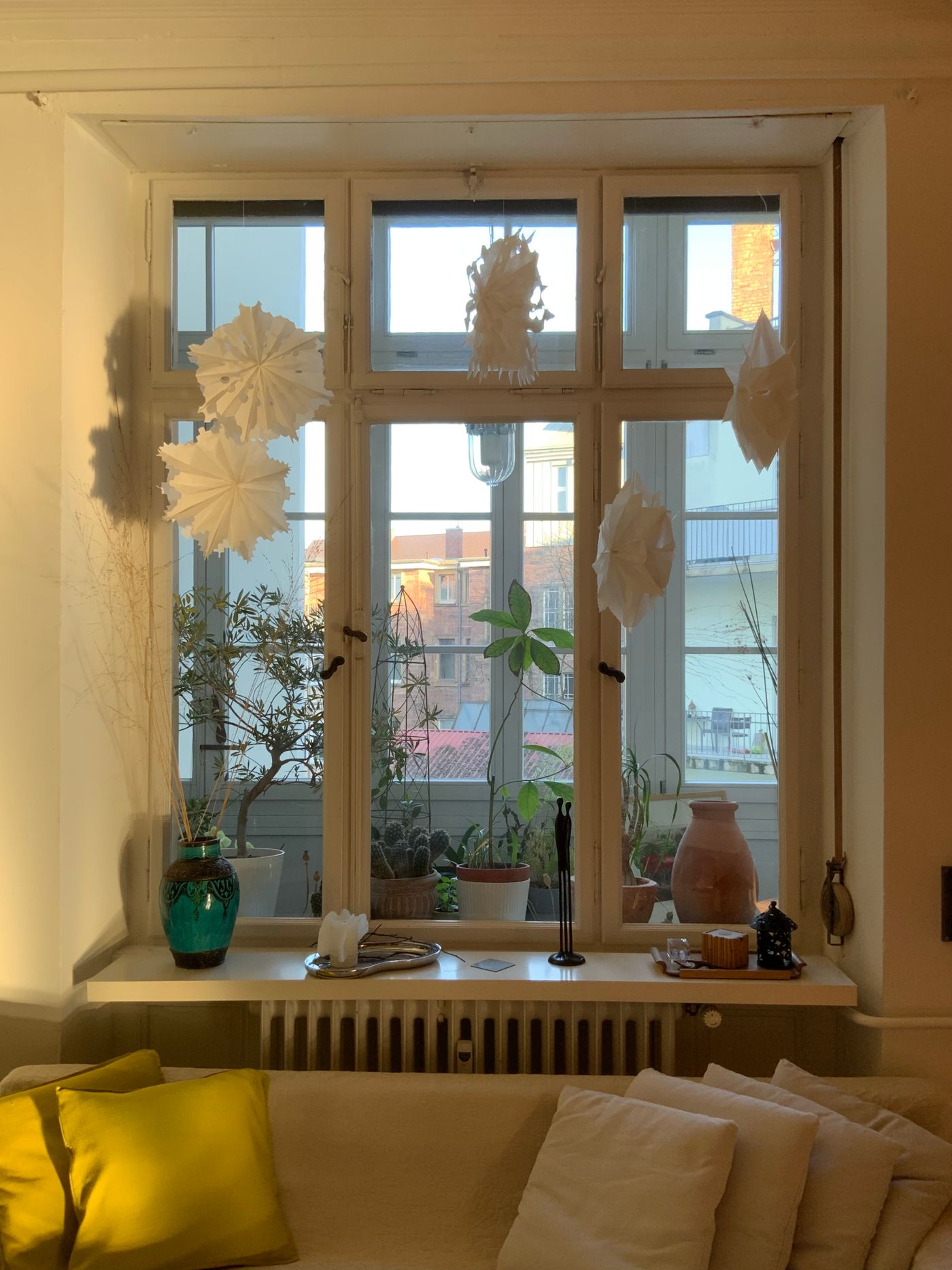 White framed windows with plants on the sill